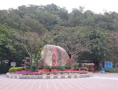 景点-野狸岛
