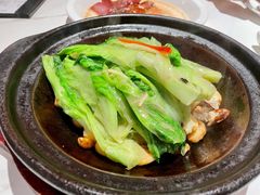 虾酱啫马兰生菜-十六台·经典广东菜(德外大街店)