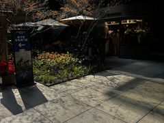 -瑞虹新天地月亮湾