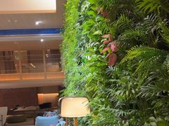 -A+阿加汤宿(大悦城店)