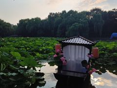 -北陵公园