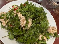 -葛记焖饼(伏牛路店)