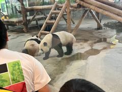 -西安秦岭野生动物园