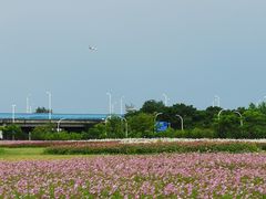 -映月湖中央公园