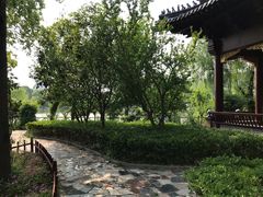 -南汇桃花村