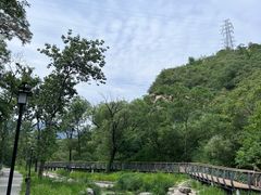 -白水寺森林公园