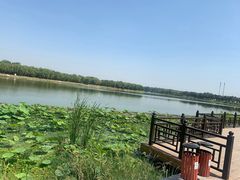 -素心小筑(后沙裕镇店)