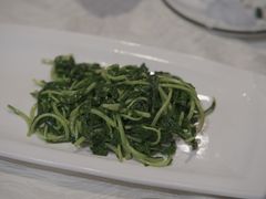 -丁老爷子苏香圆