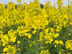 -中国天府农业博览园