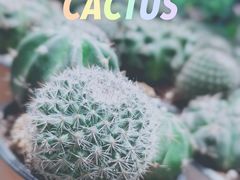 -鹿岛会员店 (龙湖三千集天街店)