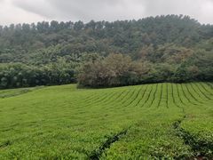 -敬亭山风景名胜区