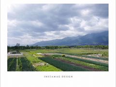 -翠田Green Field Kitchen