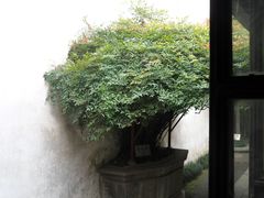 SAM_4463-乌镇东栅景区-茅盾故居