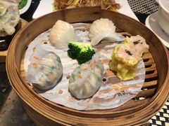 -新兴·金羊座·粤菜点心(乐峰店)