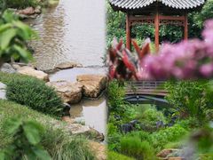 -云溪植物园