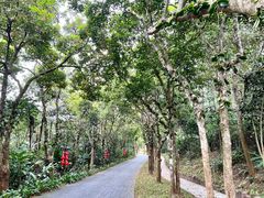 -海南文笔峰盘古文化旅游区