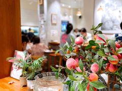 -小豆海棠(人民南路店)