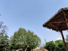-上海野生动物园