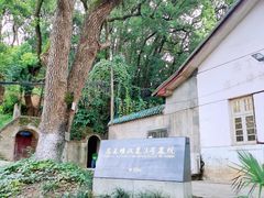 -马王堆汉墓遗址