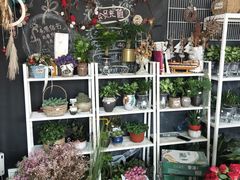 -杭州街角花屋花店(闻堰店)