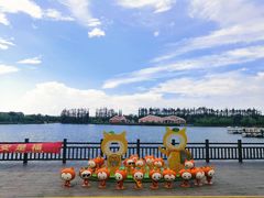 -上海长兴岛郊野公园