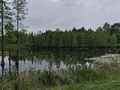 -白鹭湾湿地公园