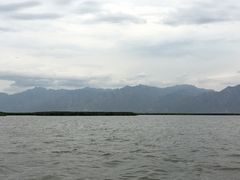 -哈素海