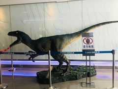 -金逸影城(荟聚IMAX激光店)