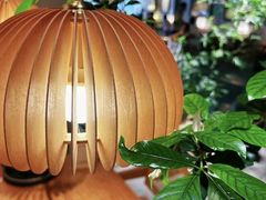 -本处·素食·融合料理(南油店)