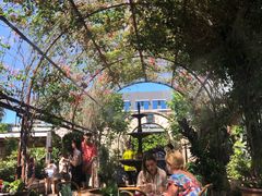 -The Grounds of Alexandria