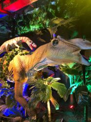 -恐龙探索乐园(磁器口店)