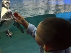 -太平洋海底世界