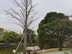 -上海滨江森林公园