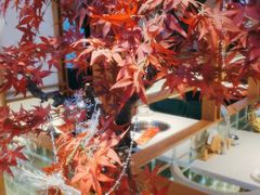 -三人行骨头王火锅(长寿店)