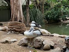 -费瑟代尔野生动物园