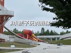 -荷兰花海