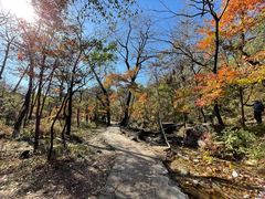 -玉渡山自然风景区