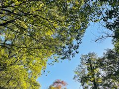 -岳麓山风景名胜区