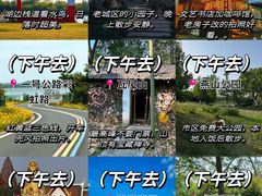 -紫藤园·天目湖大鱼头(南山竹海店)