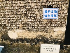 -小洲村