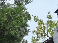 -北京国子监胡同