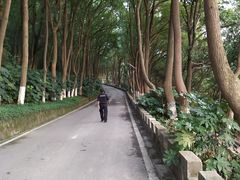 -上海市保健医疗中心(华东疗养院)