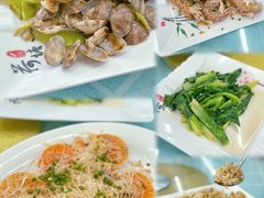 -汕尾风车岛
