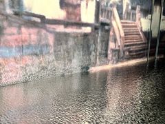 -上海大自然野生昆虫馆(东方明珠·爬宠昆虫探索中心)