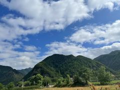 -牛背梁国家森林公园