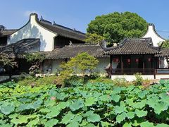 -上海醉白池公园