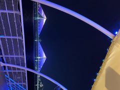 -武汉两江游览·夜游长江(汉口粤汉码头)