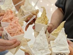 -野人先生Gelato(上海长宁龙之梦店)