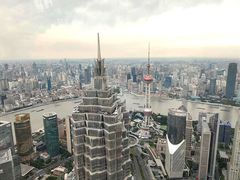 -上海柏悦酒店·世纪100牛排馆
