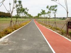 -上海长兴岛郊野公园